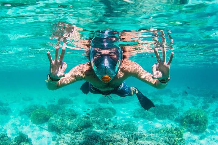 Waikiki Snorkeling Cruise with E SEA DIVER image