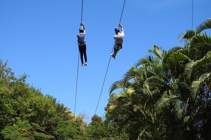 Rain Forest Zip Line Park plus Rain forest Hiking Tour image