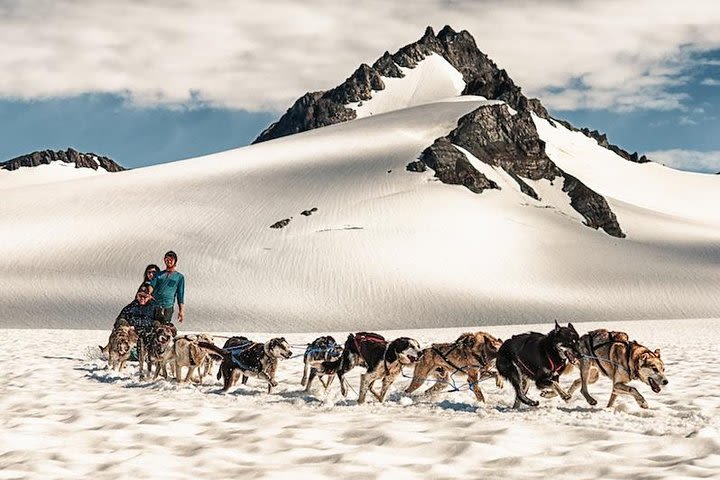 Helicopter and Glacier Dog Sledding Tour from Seward image