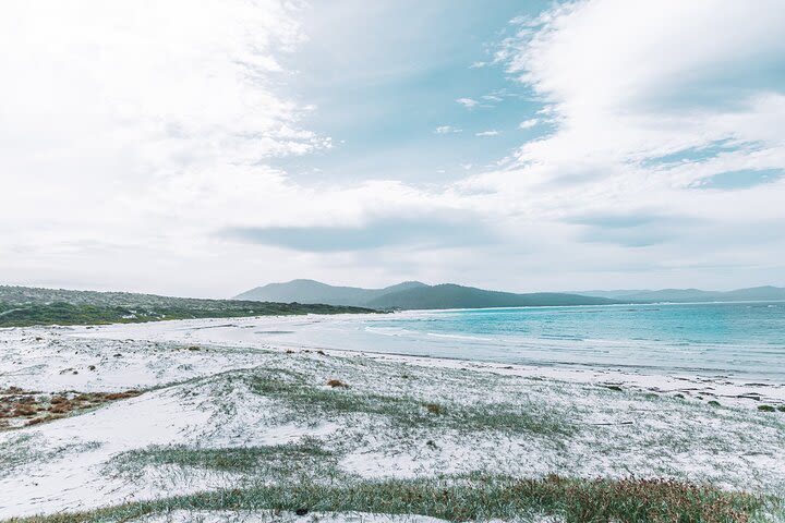 Half-Day Guided ATV Exploration Tour from Coles Bay image