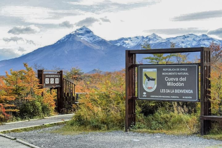 Tour Full Day Torres del Paine image