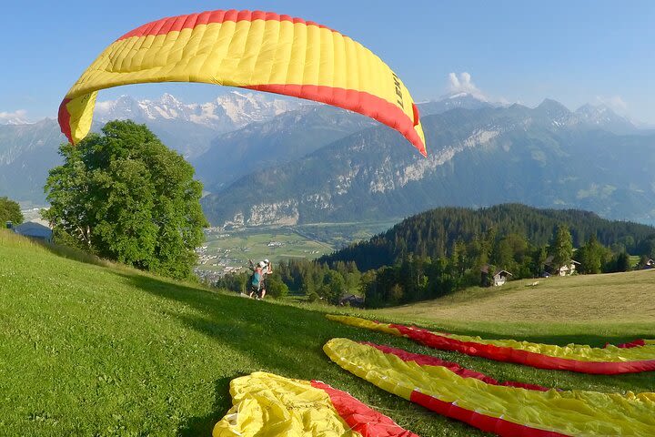 Tandem Paragliding Experience from Interlaken image