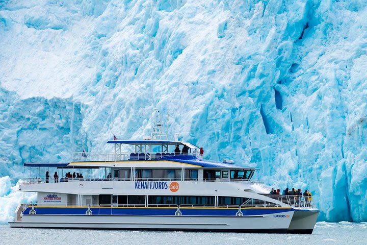 Kenai Fjords National Park Glacier & Wildlife Cruise: afternoon departure image