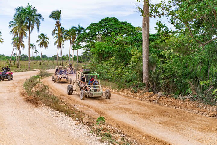 Buggies Off Road Extreme From Punta Cana image