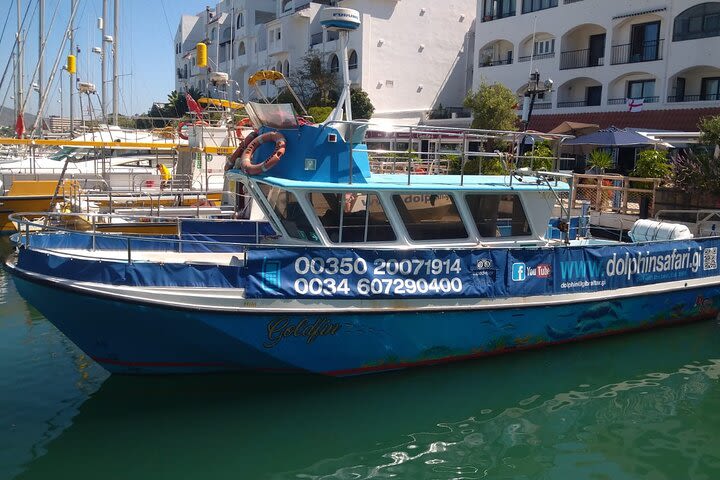 First-Class Sailing in Gibraltar with Dolphin Safari image