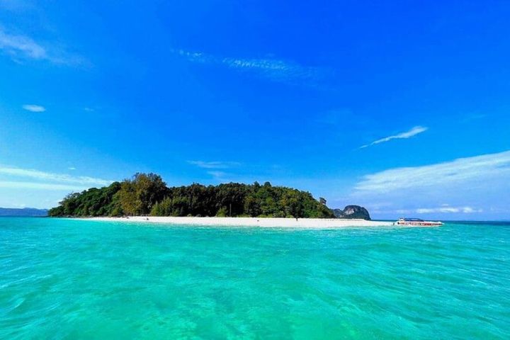 Grand Canyon South Rim Day Tour image