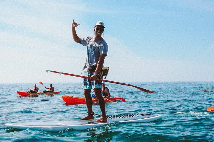 Paddle lesson and tour - discover Algarve's magical caves & hidden gems image