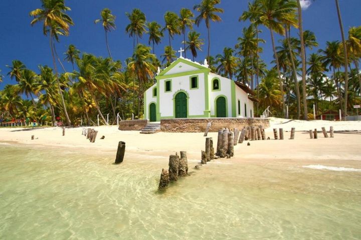 Praia de Carneiros Beach Tour image