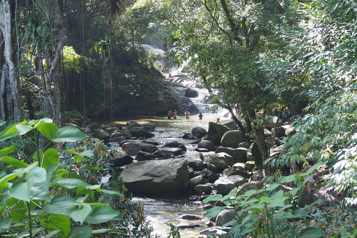 Tour Minca Pozo Azul and Coffee Farm. image