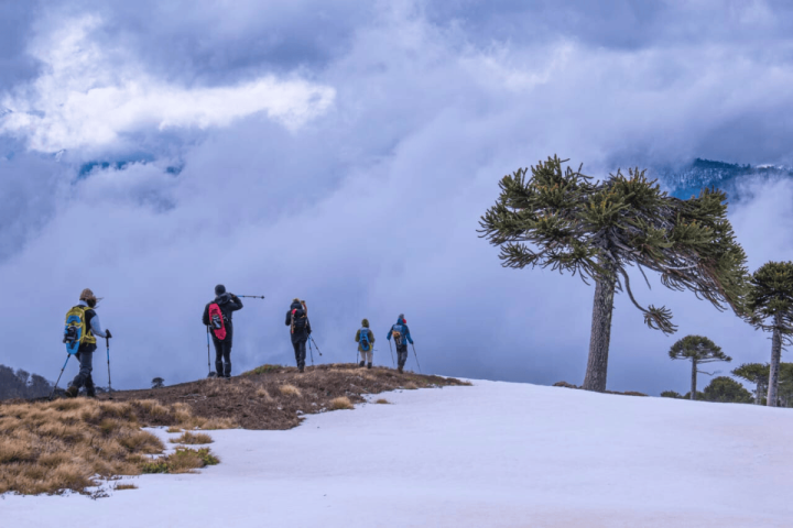 Tour al Cráter Glaciar de Sollipulli: Una Experiencia Única image