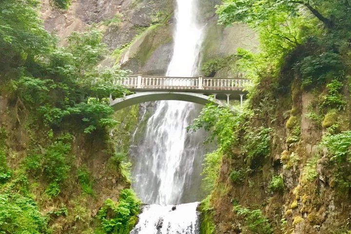 Private - 1/2 day Columbia River Gorge & Waterfalls Tour From Portland image