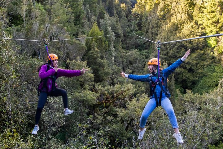 Rotorua Forest Zipline Adventure image