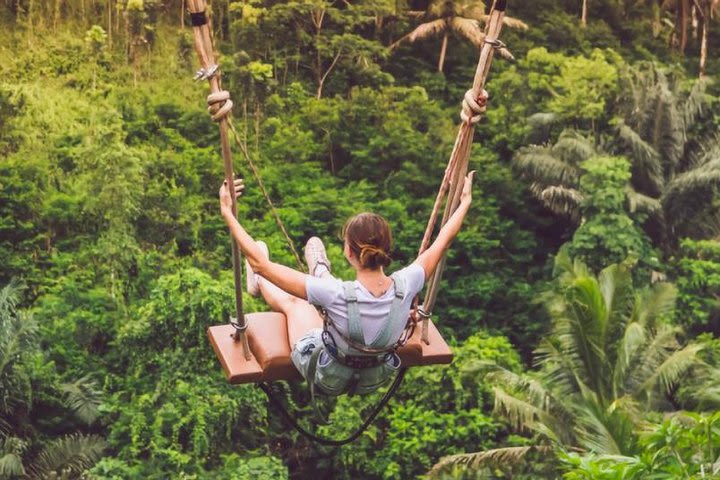 Ubud Instagram Tour: Waterfall, Temple, Coffee, Swing, Rice Fields and more image