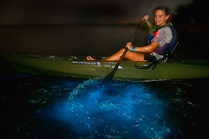 Dinoflagellate Bioluminescence Kayak Tour image