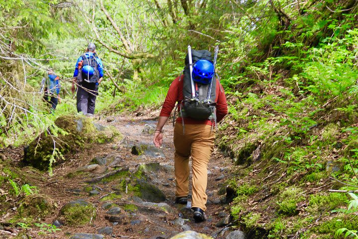 Mendenhall Glacier Trek image