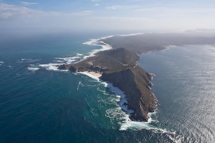 Full day Cape Point Tour image