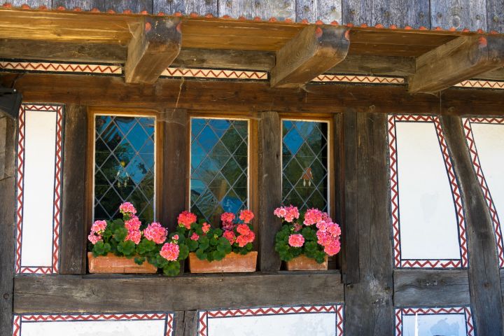 Pearls of Alsace Full DayTrip from Strasbourg (Private) image