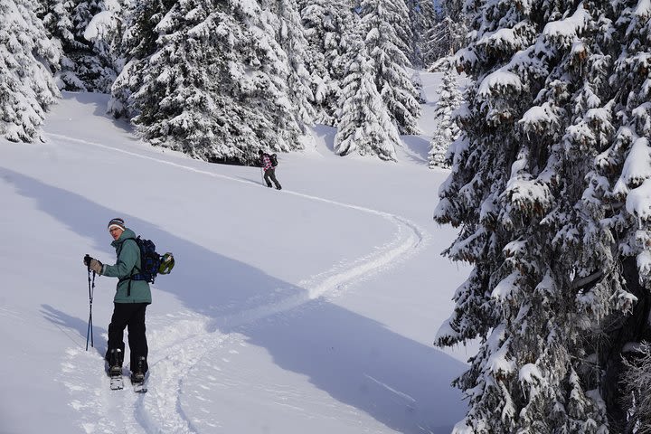 Backcountry & Splitboarding Guiding in the Carpathian Mountains image