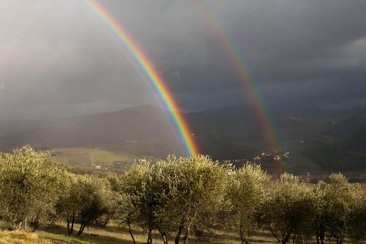 Yoga in the countryside image