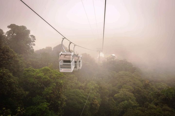 Monteverde Sky Tram & Hanging Bridges Cloud Forest Tour image