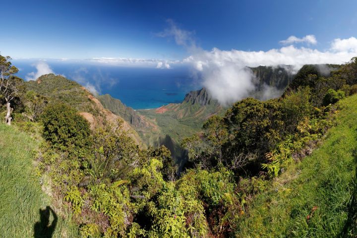Kauai Waimea Canyon & South Shore Private Tour image