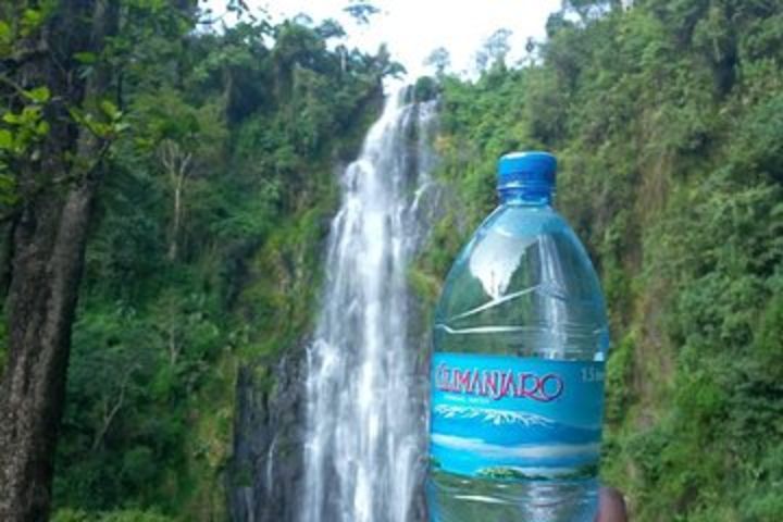 Materuni Waterfalls & Coffee Farm Tour image