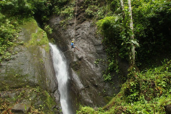 Rappelling down waterfalls with organic lunch and farm tour image