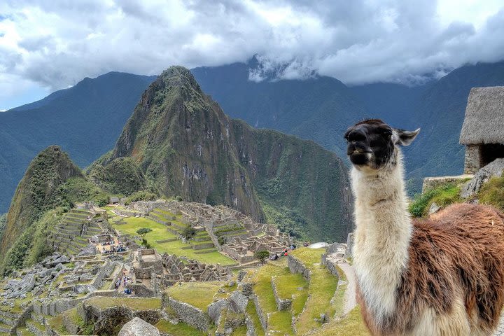 Machu Picchu in Tourist Train image