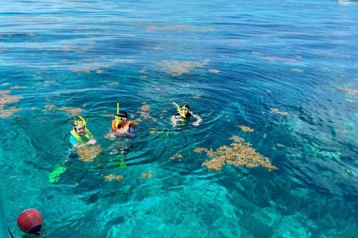 Half-Day Florida Keys Snorkel Adventure image