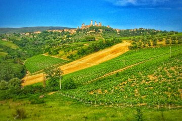 Chianti to San Gimignano Bike Tour image