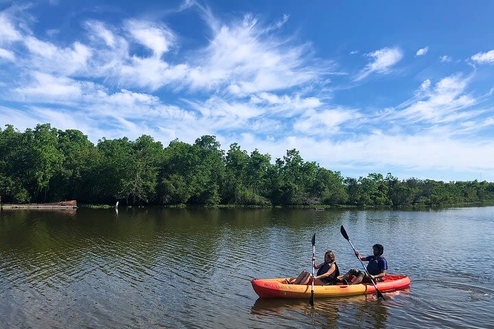 Self Guided Kayak Bayou Swamp Tour image