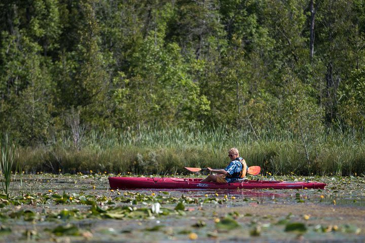 Door County Wetlands Kayak Tour image