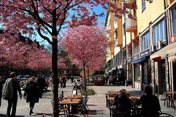 The Södermalm Tour in Stockholm image