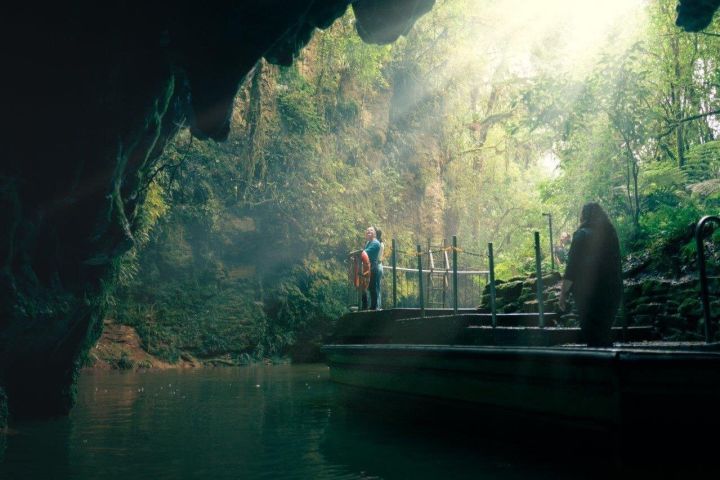 Auckland to Rotorua via Waitomo Caves Tour image