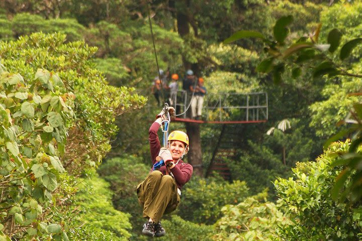 Kayak Tour, Canopy and visit the Wildlife Reserve in Puntarenas from San José image