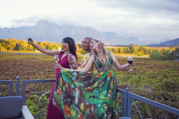 Constantia Winelands Private Wine Tour image
