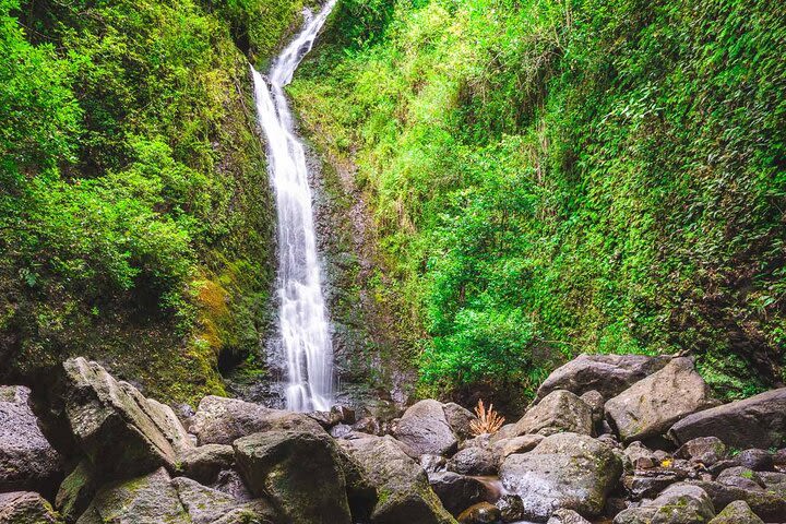 Waterfall Hike and Nature Walk image