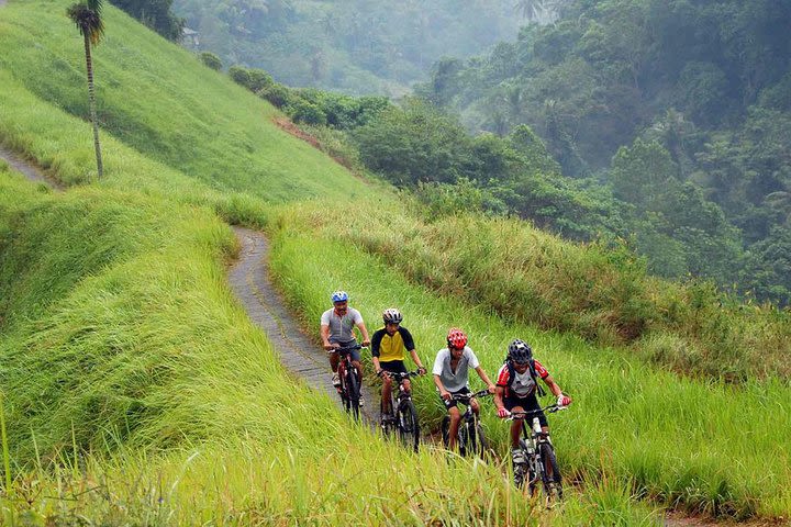 True Bali Experience - Kintamani Mountain cycling image