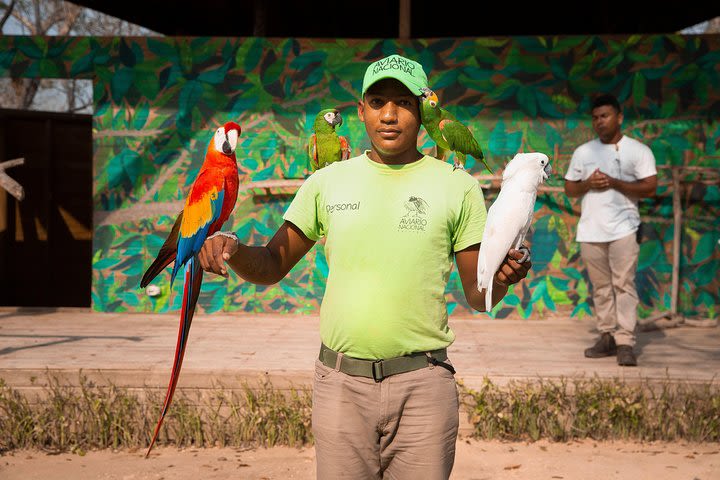 Only Transportation to the National Aviary round trip image