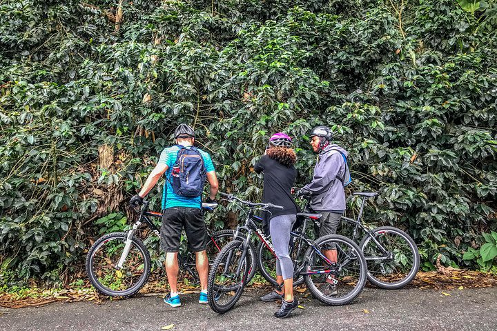 The Forgotten Road Gravity Bike Tour image