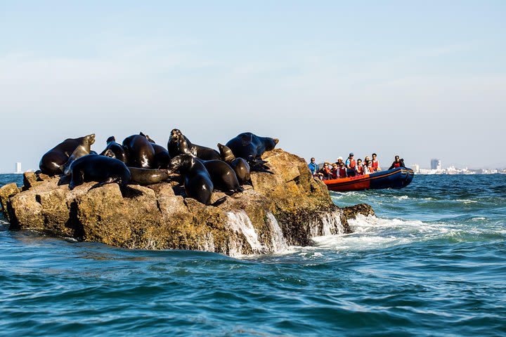 Whale Watching image