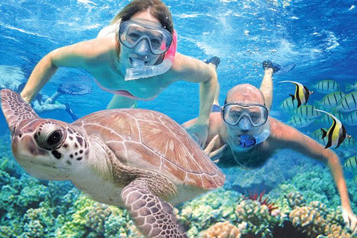 Kauai's Ultimate Guided Shore Snorkeling Adventure image