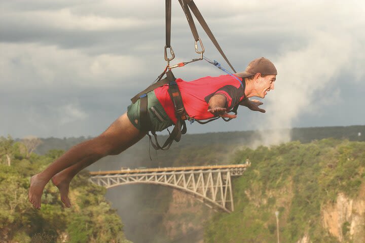 Flying Fox (Zimbabwe) image