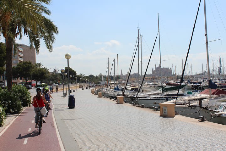 Palma de Mallorca Easy Bike Tour image