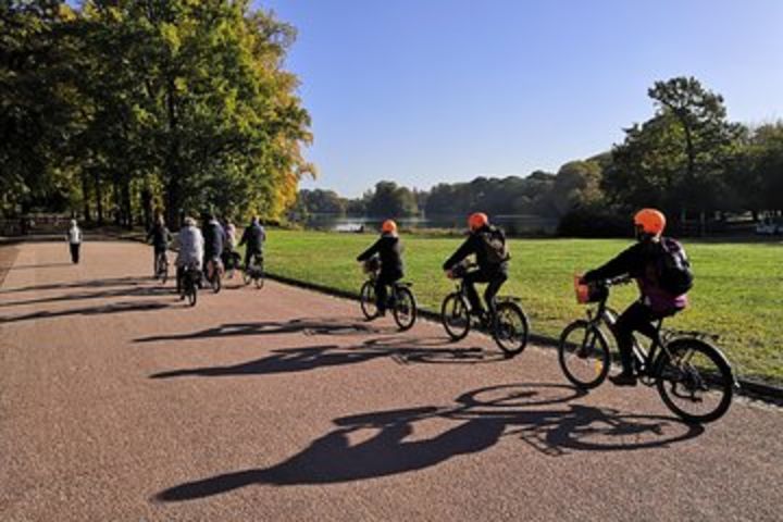 Lyon Small-Group Guided Electric Bike Tour with a Local Guide image