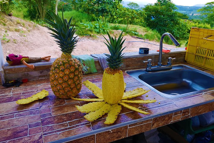 Private Tour - Pineapple Tour (Cultivations) image