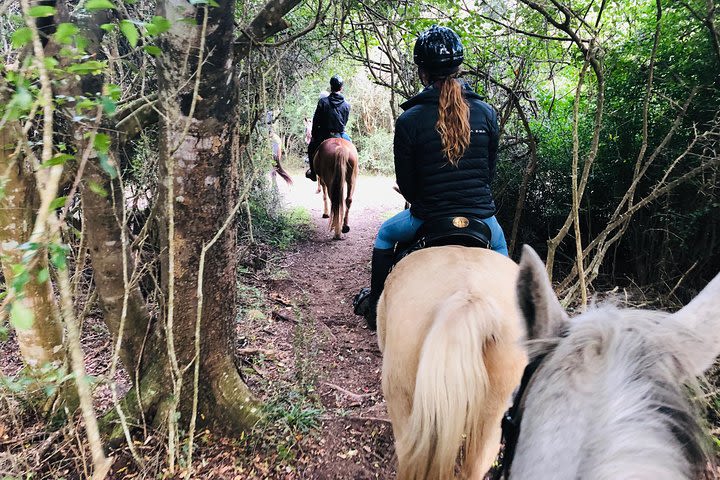 1 Day Wine Trail on Horseback image