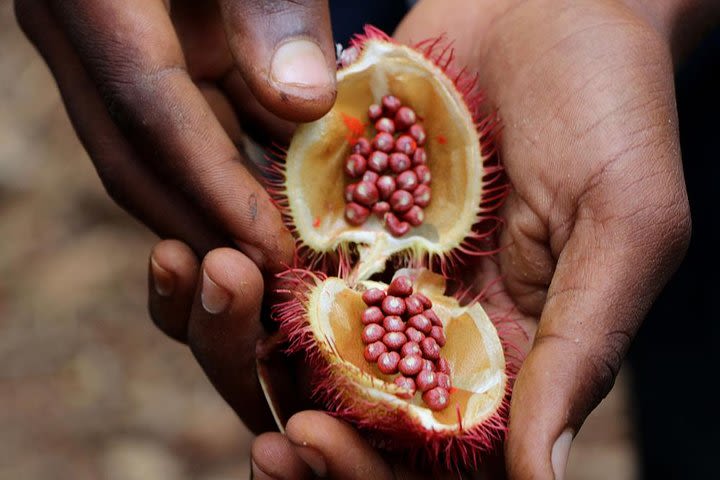 Zanzibar Spice Tour image