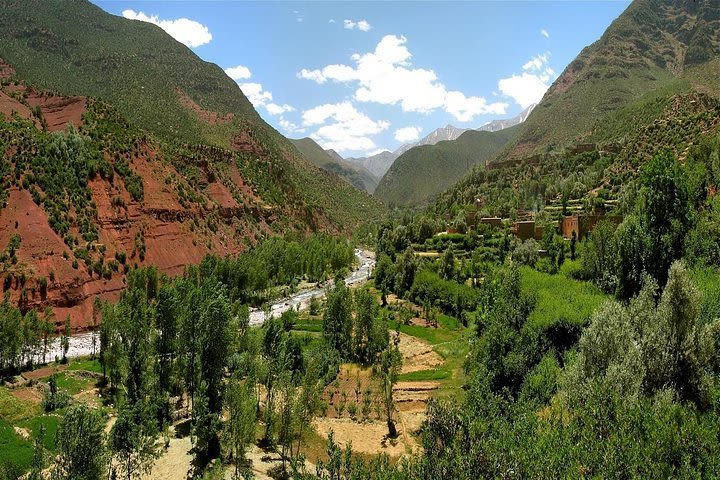 From Marrakesh: Ourika Valley & Atlas Mountains Day Tour image