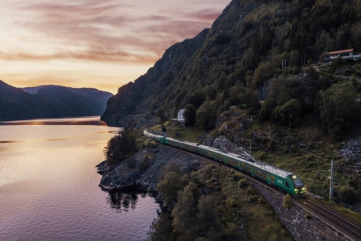 One-way day tour Bergen to Oslo - incl Premium Fjord Cruise and Flåm Railway image